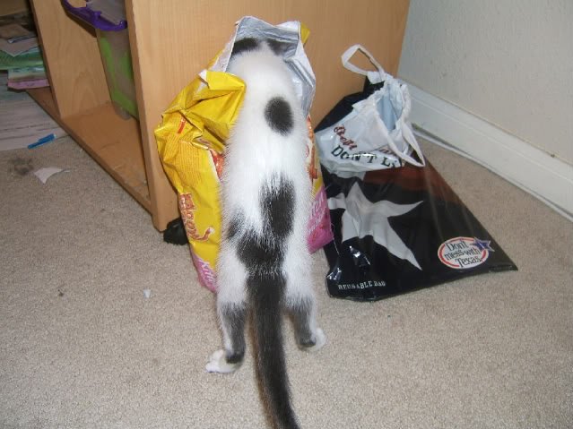 DSCF5982-1.jpg