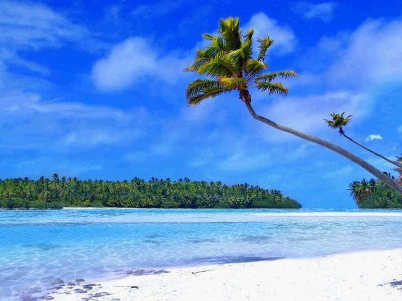 Tropical_Beach_Living_Desktop_52952-1.jpg
