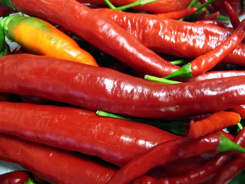 chilipeppermadness-1.jpg