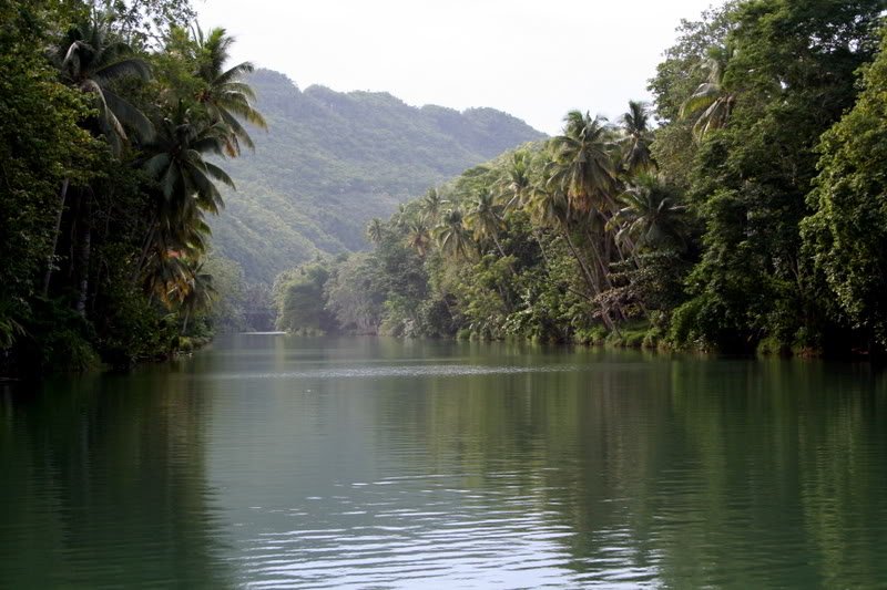 loboc4-1.jpg