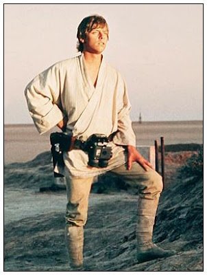 lukeskywalker 1 - The weirdest online auctions ever