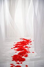 roses__150x226JPG-1.jpg