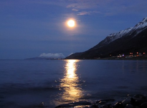 winter_moon-1.jpg
