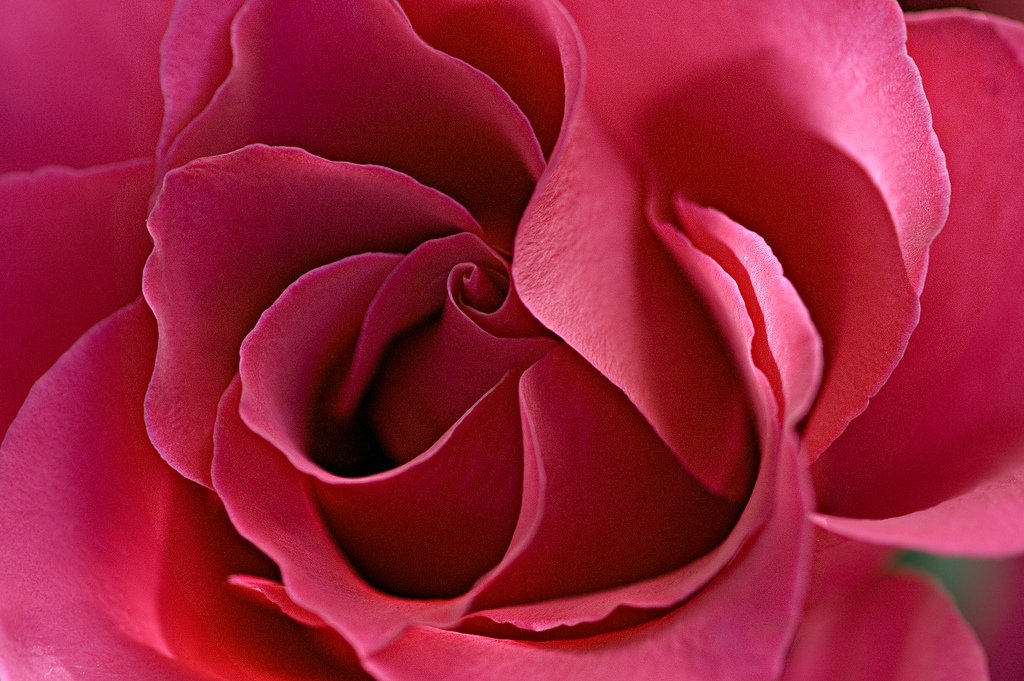68482988_4b0e0d98b3_b-1.jpg