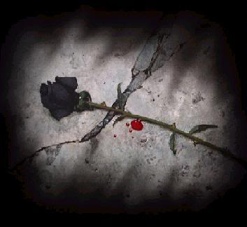 Black rose 1 - --> JσℓιєFℓєυя Thread <--