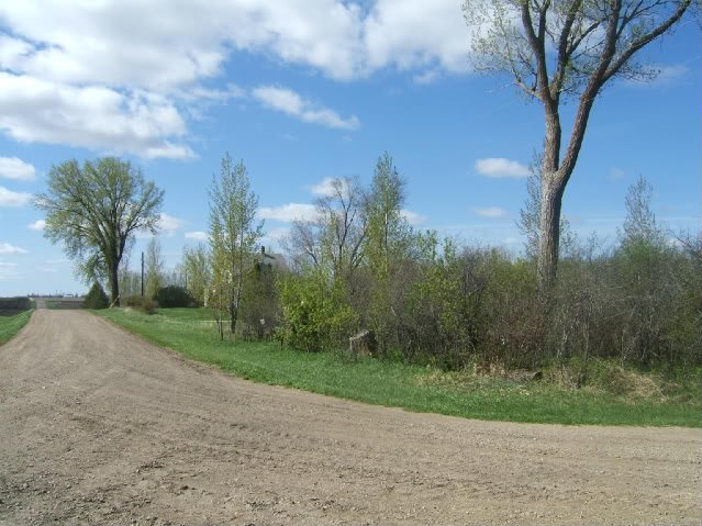 DSCF5121-1.jpg