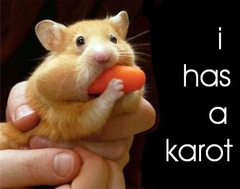 HamsterCarrot-1.jpg
