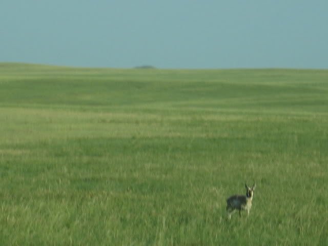 IMG_0111-1.jpg