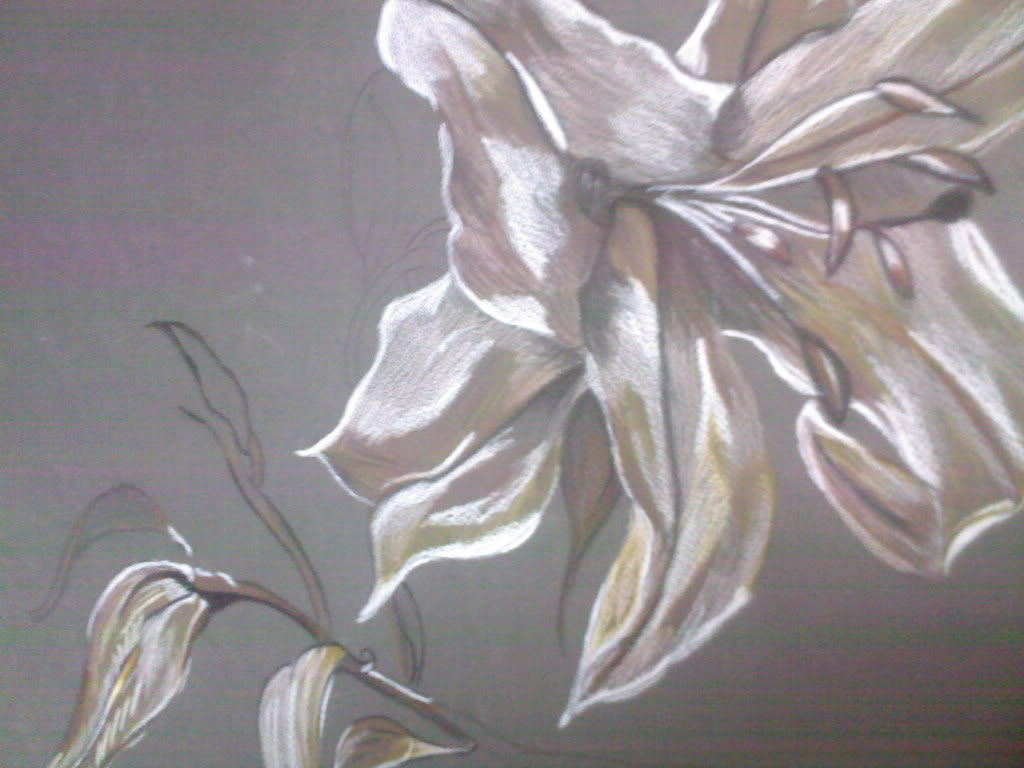 Mydrawing-1.jpg