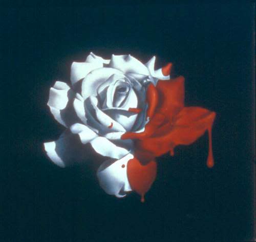 bloody rose 1 - --> JσℓιєFℓєυя Thread <--