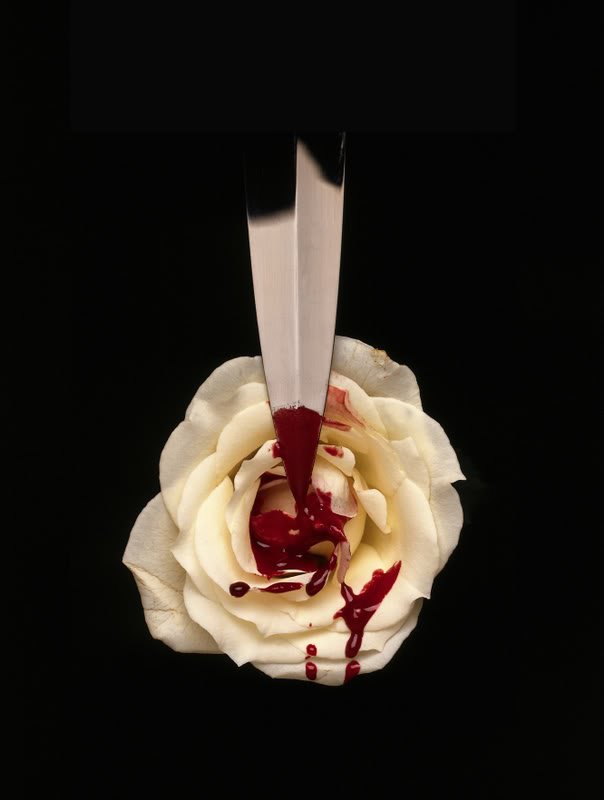 bloody_rose8x11-1.jpg