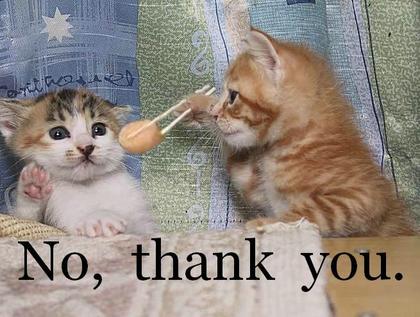 funny_cat_pictures_091-1.jpg
