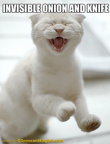funnycatchoppingonions-1.jpg