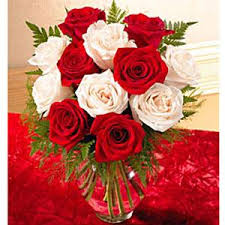 redandwhiterosesbigthumbnail-1.jpg