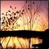 thsunsetlake-1.jpg
