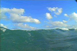 z72345262-1.gif