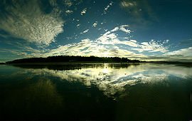 270pxCox27s_Bazar_panorama-1.jpg
