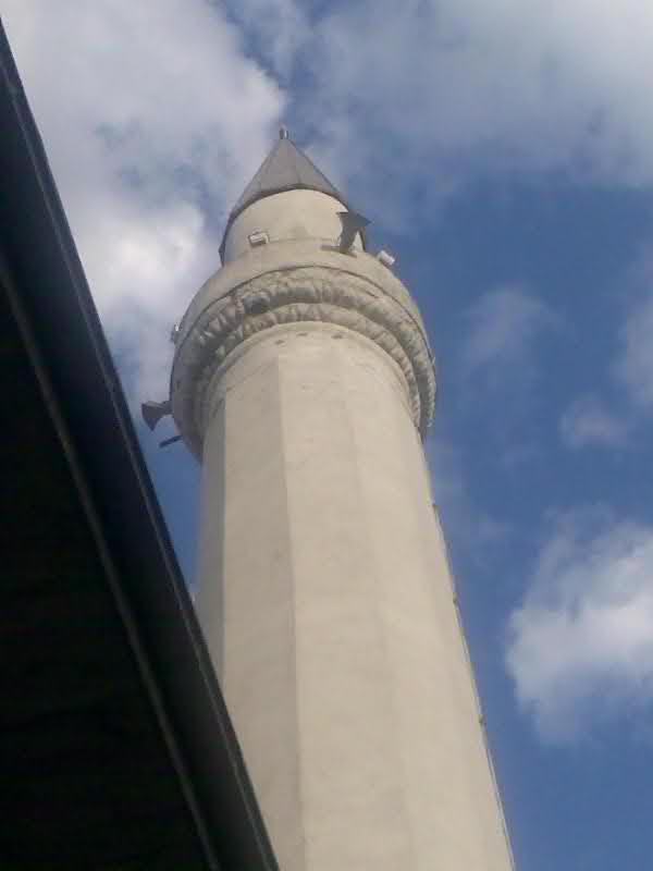 2pqjsjq-1.jpg