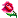 7D-1.gif