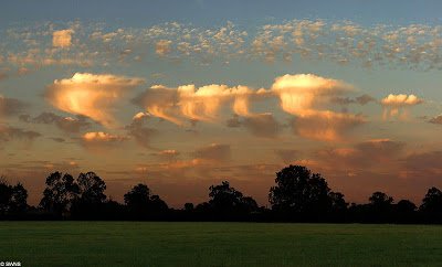 Altocumulus_Castelanus-1.jpg