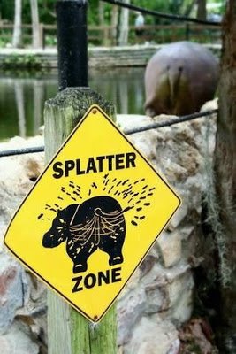 Behave_In_Zoo_1-1.jpg