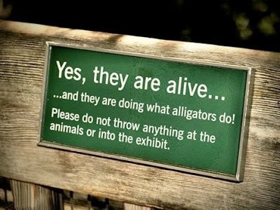 Behave_In_Zoo_2-1.jpg
