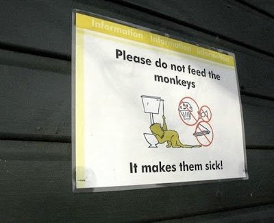 Behave_In_Zoo_3-1.jpg