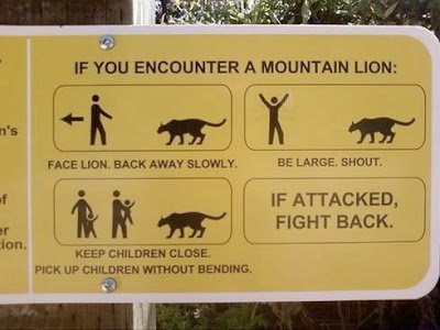 Behave_In_Zoo_6-1.jpg