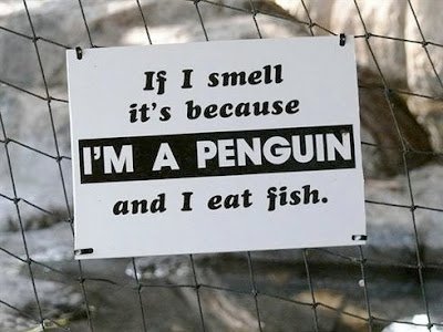Behave_In_Zoo_8-1.jpg
