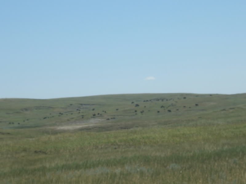 DSCF6627-1.jpg