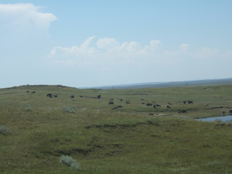 DSCF6632-1.jpg