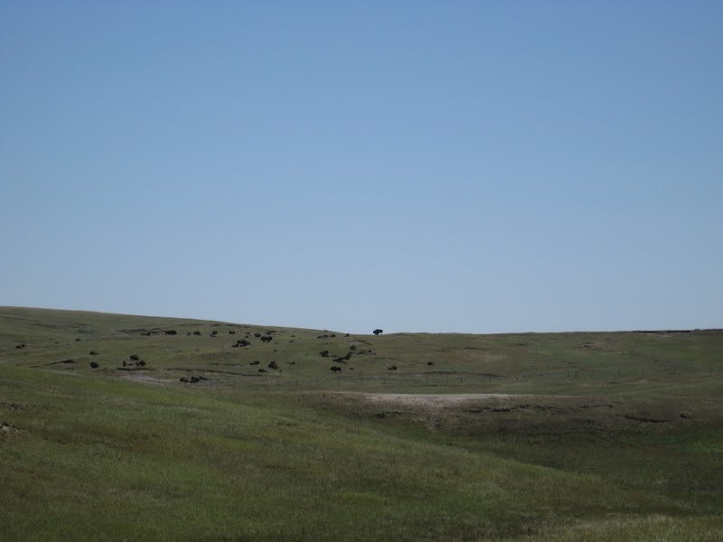 IMG_0502-1.jpg