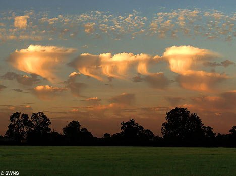 JellyFishCloudsSWNS_468x349-1.jpg