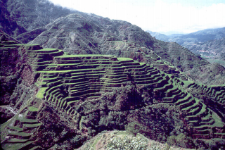 Rice terraces 1 - 7 incredible natural phenomena , you've probably Never Seen!