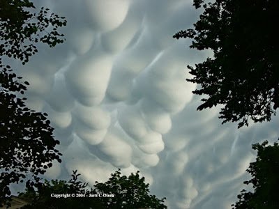 mammatuscloud-1.jpg