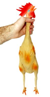 rubberchicken-1.jpg