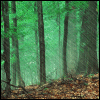 z126664211-1.gif