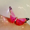 z134143596-1.png