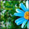 z26810258-1.png