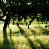 z5804993-1.gif
