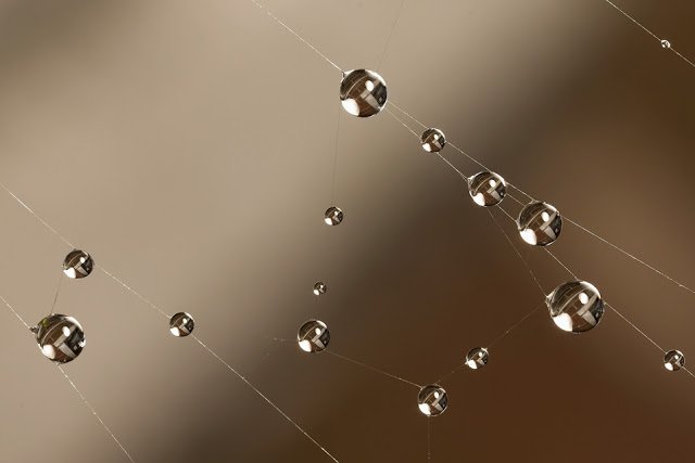 1525624962_3346e1646b_o-1.jpg