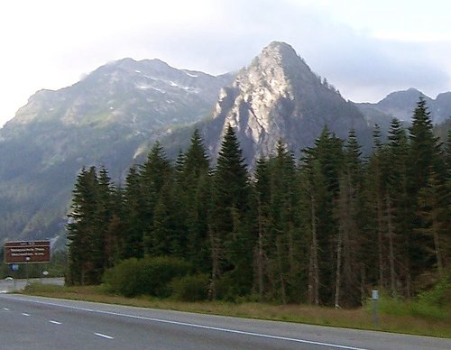 193200849_16a9a9cd44-3.jpg