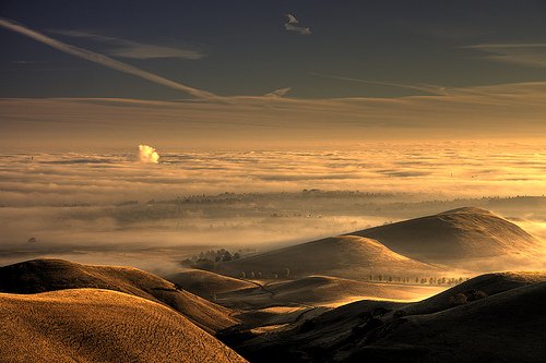 2045530962_c2a23cf0c1-1.jpg