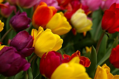 2426143139_a10d7db70d-3.jpg