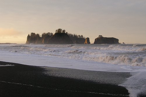 306367155_c7279c8f83-3.jpg