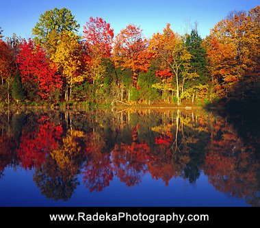 AutumnTreesNlakeL-1.jpg