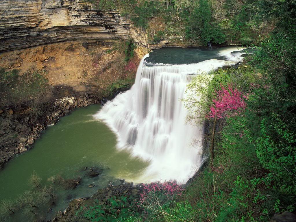 BurgessFallsinEarlySpringTennessee-1.jpg