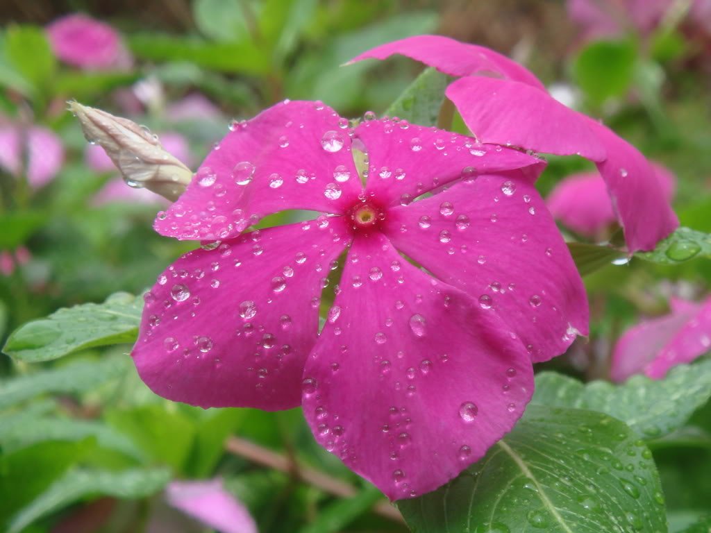 DSC08799-1.jpg