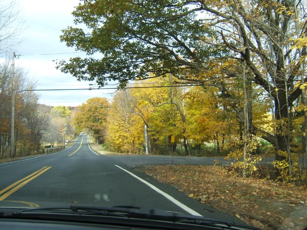 DSCF2005-1.jpg