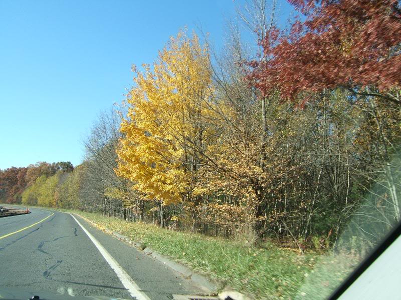 DSCF2236-1.jpg